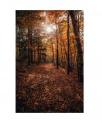 Arandela Folhas Secas